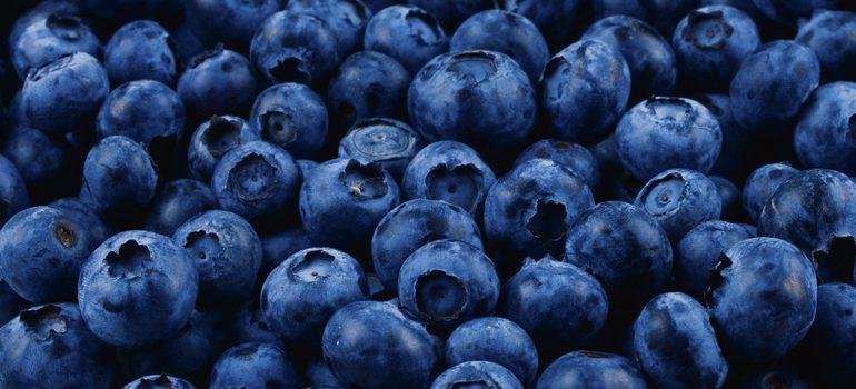 Vegan Nutrition Guide _ Bobs Red Mill