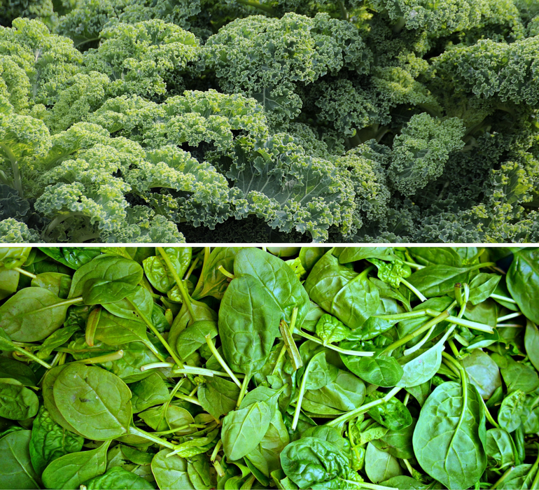 green leafy vegetables