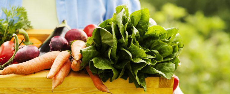USDA Organic Certification