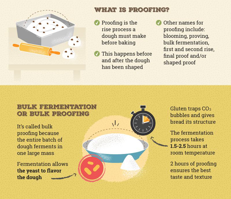 what is proofing and bulk fermentation infographic