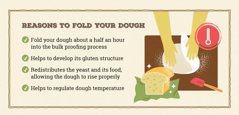 reasons to fold your dough infographic