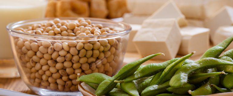 What Foods Contain Soy?