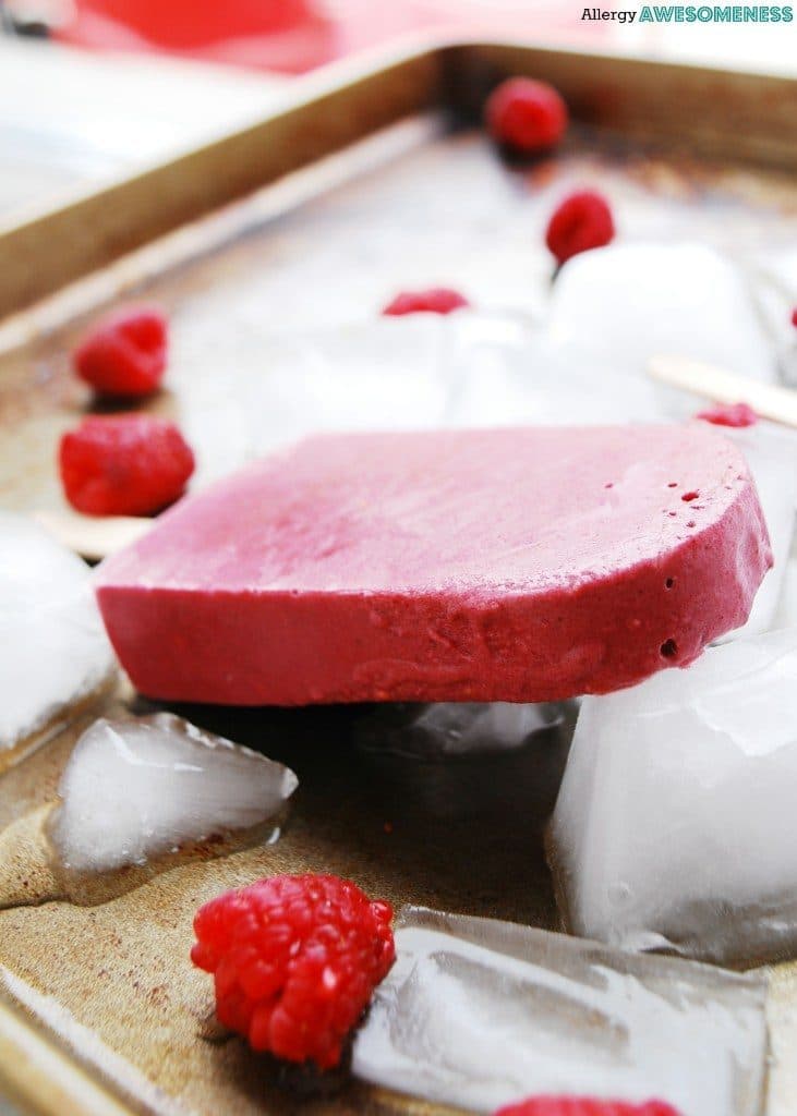 Raspberry Chocolate Popsicle Allergy Awesomeness