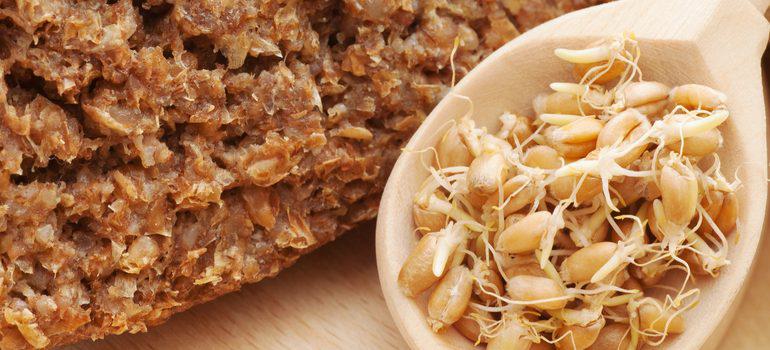 What Are Sprouted Grains? _ Bobs Red Mill