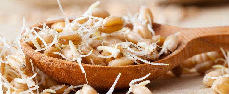 What Are Sprouted Grains?