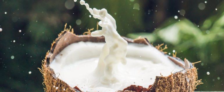 Types of Dairy Free Milk