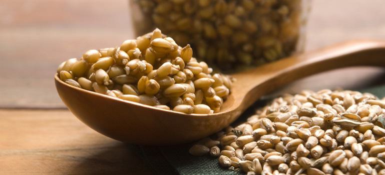 What Is Wheat Germ and Why Should I Be Eating It? | Bob's Red Mill