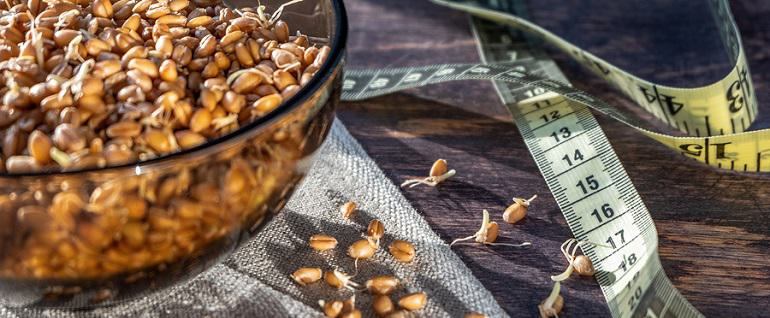What Is Wheat Germ and Why Should I Be Eating It?
