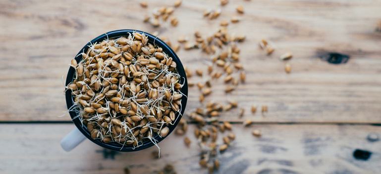 What Is Wheat Germ and Why Should I Be Eating It? | Bob's Red Mill