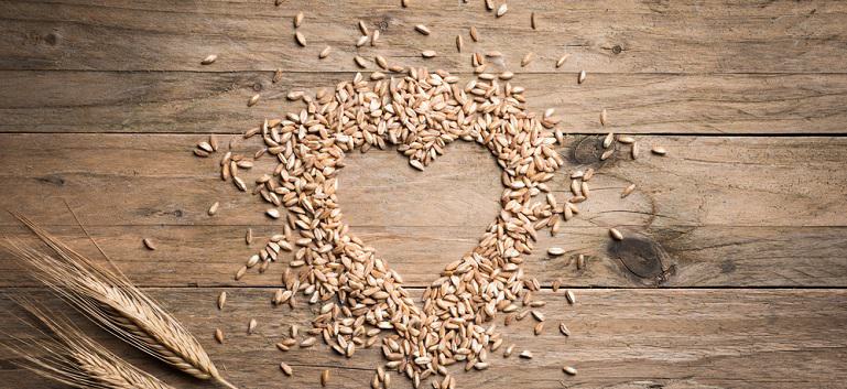 Cooking Wheat Berries | Bob's Red Mill Blog