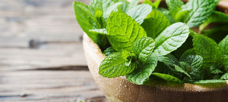 Foods of Spring | Bob's Red Mill Blog