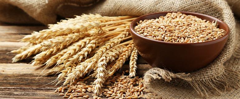 Cooking Wheat Berries: Step by Step Guide