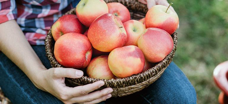 Difference Between Organic & Non-Organic | Bob's Red Mill Blog