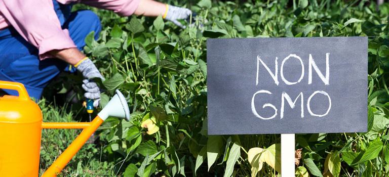 Organic vs. Non-GMO | Bob's Red Mill Blog