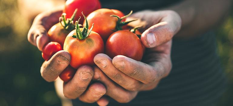 Difference Between Organic & Non-Organic | Bob's Red Mill Blog
