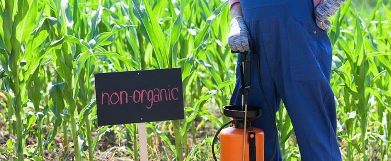 Difference Between Organic & Non-Organic