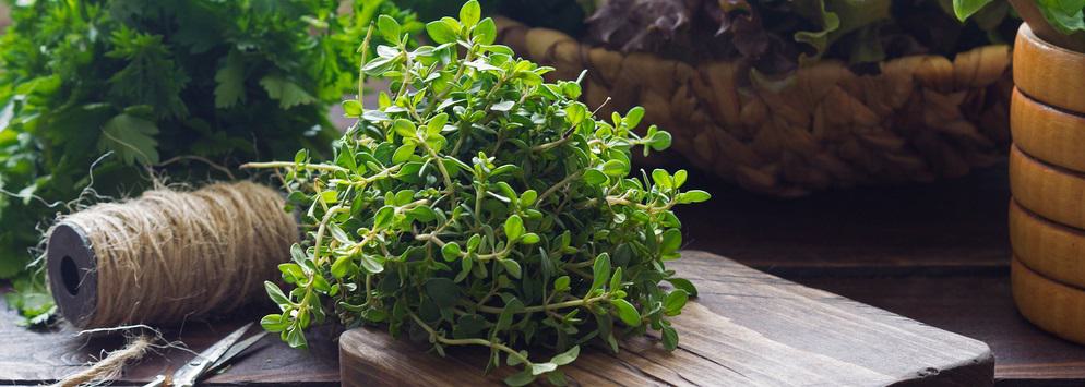 How to Keep Food Fresh Longer: Top Hacks | Bob's Red Mill Blog