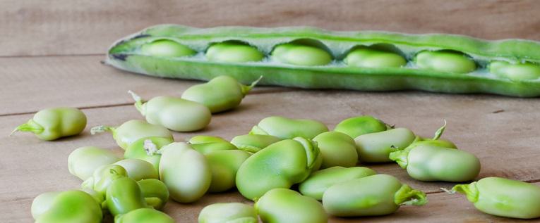 What Are Lima Beans & How Do You Cook Them?