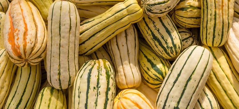A Beginner's Guide to Cooking Squash | Bob's Red Mill Blog