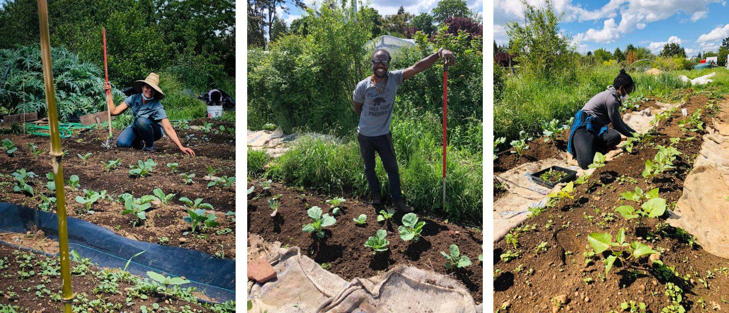 Black Futures Farm in Portland, Oregon