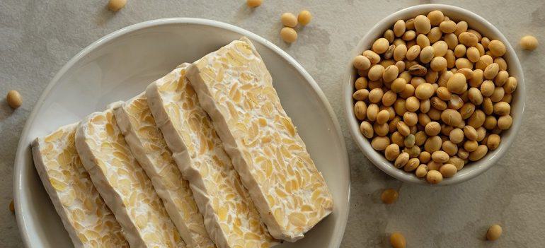 tempeh slices in white ceramic bowls and on a marble table. raw soybean seeds in a white ceramic bowl