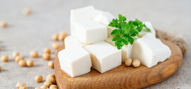 fresh tofu cheese