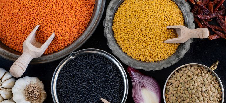 types of lentils