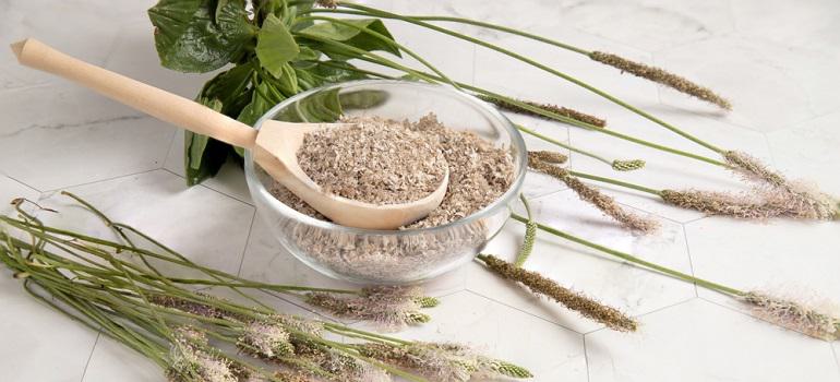 Can I Take Flaxseed And Psyllium Husk Together Flaxseed vs. Psyllium Husk | Bob's Red Mill Natural Foods