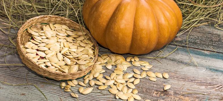 Pumpkin seeds