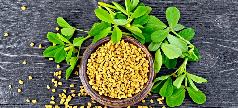 fenugreek seeds