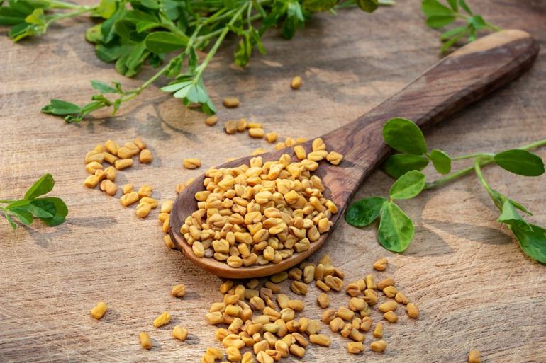 Fenugreek vs. Flaxseed