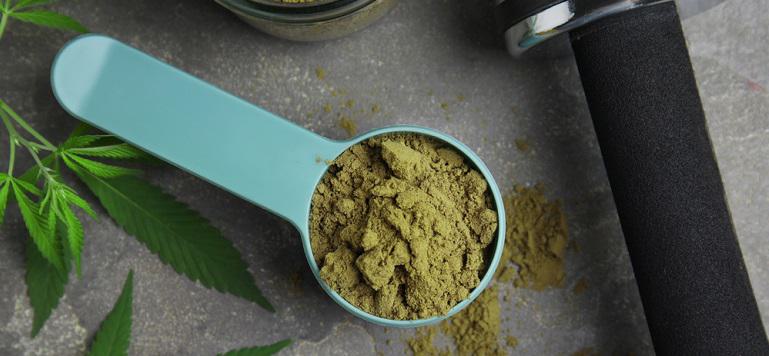 hemp protein