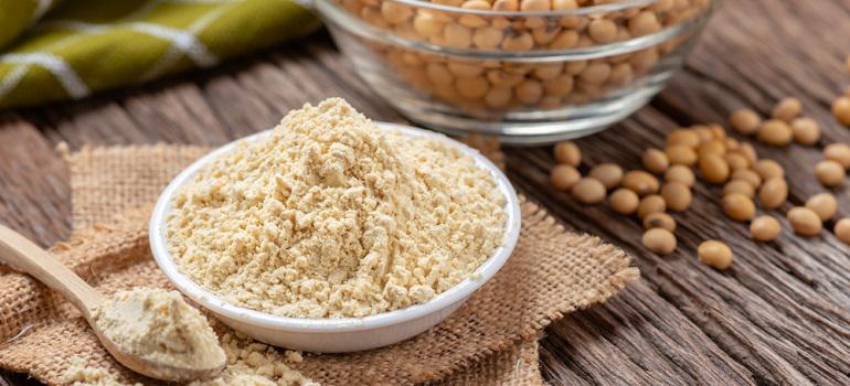 soy protein powder