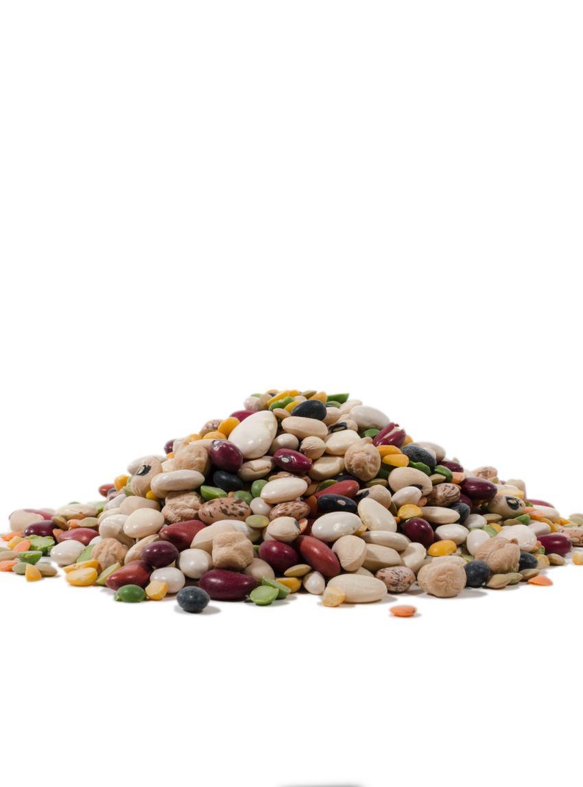 13 Bean Soup Mix
